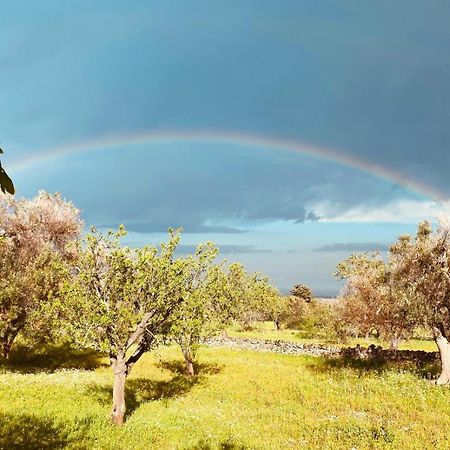 Serranova La Perla Di Torre Guacetoヴィラ エクステリア 写真